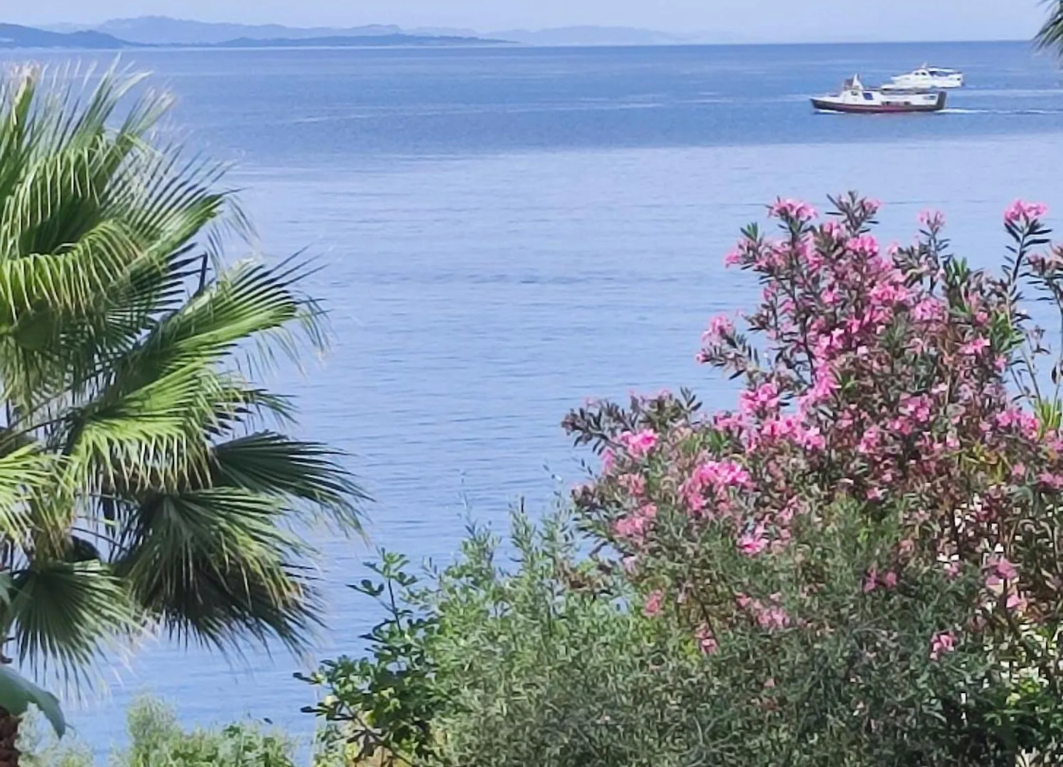 Kozy View Apartment Saranda